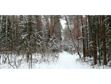 IMG 20200112 101209.jpg