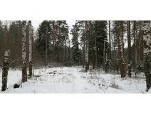 IMG 20200112 095657.jpg