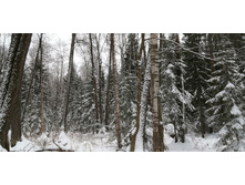 IMG 20200112 114620.jpg