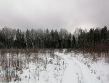 IMG 20200112 131238.jpg