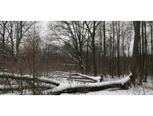 IMG 20200106 114820.jpg