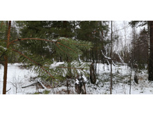 IMG 20200103 123236.jpg