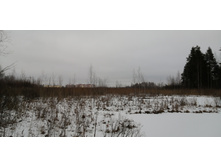 IMG 20200103 124323.jpg