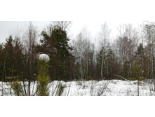 IMG 20200103 114042.jpg