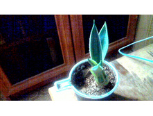 ����� �������������