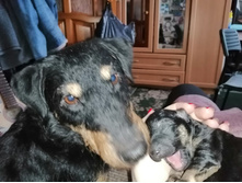 ���� � �������