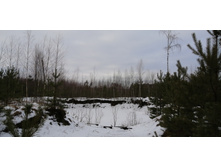 IMG 20200118 114227.jpg