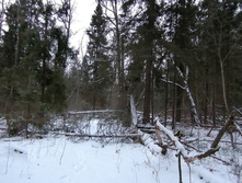 IMG 20200106 151215.jpg