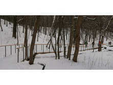 IMG 20200105 123412.jpg