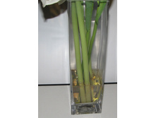 ����� � �����-8.JPG