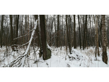 IMG 20200112 115422.jpg