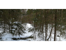 IMG 20200108 114945.jpg