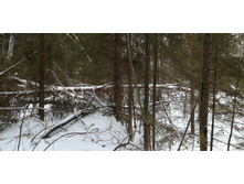 IMG 20200108 111502.jpg