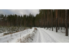 IMG 20200126 110840.jpg