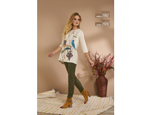 ������ =2700�.