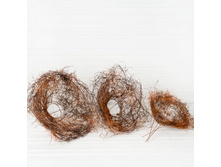 ������ ��������� �� 3-� ��