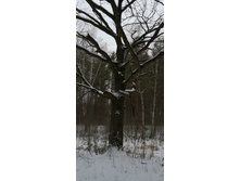 IMG 20200104 135444.jpg