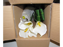 ����� � �����-2.JPG