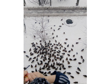 244591652-img 20191231 095614.jpg