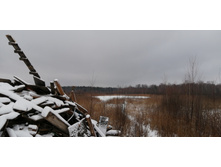 IMG 20200103 110406.jpg