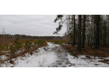 IMG 20200118 120712.jpg