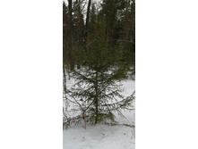 IMG 20200108 130459.jpg