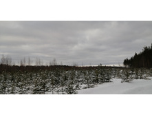 IMG 20200126 111935.jpg