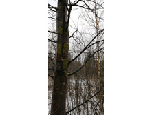 IMG 20200103 123745.jpg