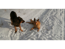 IMG 20200126 111239.jpg