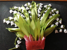 IMG 20191203 215813.jpg