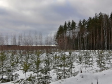 IMG 20200126 110938.jpg