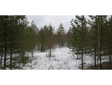 IMG 20200118 135555.jpg