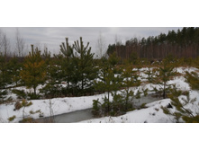 IMG 20200118 122631.jpg