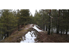 IMG 20200118 135431.jpg