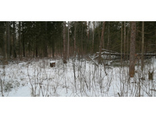 IMG 20200108 115240.jpg