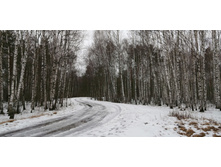 IMG 20200118 110028.jpg