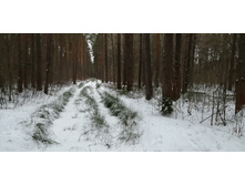 IMG 20200106 154539.jpg