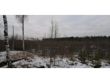 IMG 20200118 115332.jpg