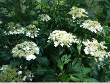 �������� ����  *(4� � ����)����.