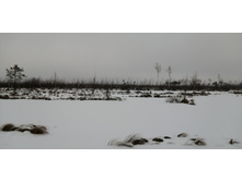 IMG 20200111 113200.jpg