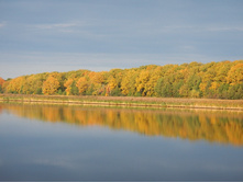 244582019-izobrazenie 095.jpg