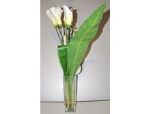 ����� � �����-6.JPG