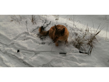 IMG 20200126 111201.jpg