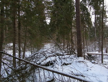 IMG 20200108 121416.jpg