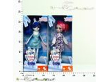 1516341411 c332 thumb (1).jpg