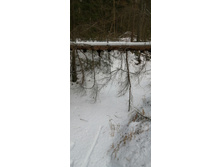 IMG 20200108 115902.jpg