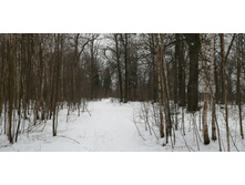 IMG 20200104 115345.jpg