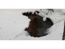 IMG 20200108 121252.jpg