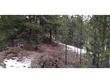 IMG 20200118 135518.jpg