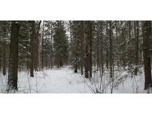 IMG 20200112 121252.jpg